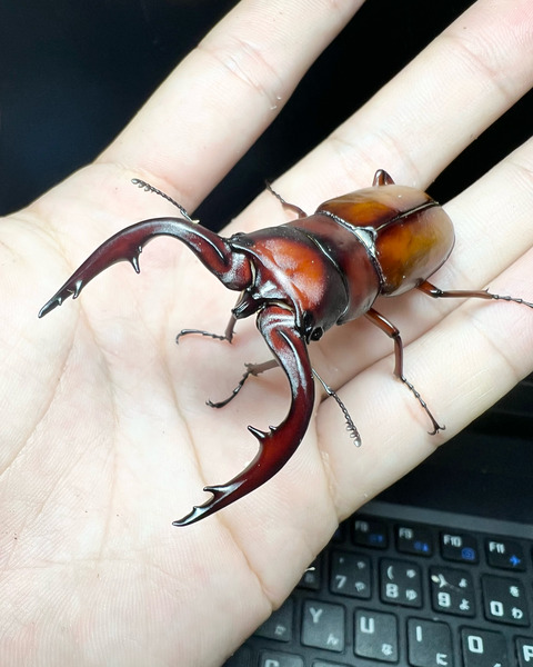 10E5234B-4497-42CB-B8FD-180A693F3571