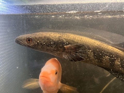 F084A47F-3B6B-4703-B3E2-9CD44FEEC3F9