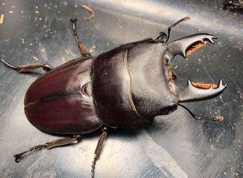 D49FB498-EC00-430A-9DAA-B59098E75006