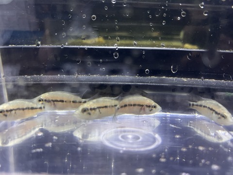 7A9EC944-8FB2-428E-92F5-320C9FE3B64C