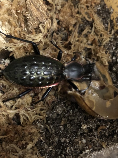 290D6C57-86B2-446A-88CA-BD222765A190