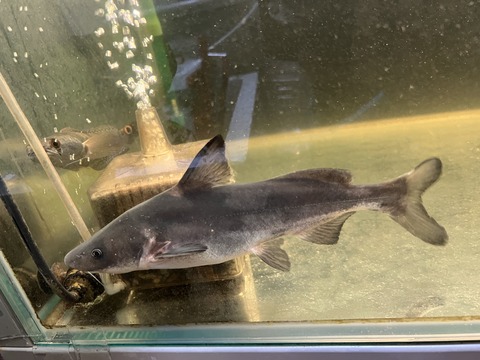 9BCA1FEE-A9EB-410C-8583-71743CE5769F