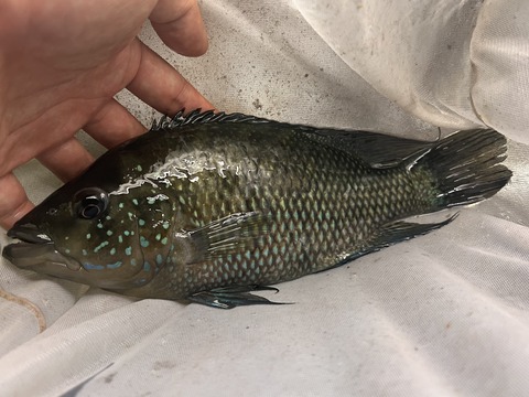 4613740F-32A8-43FA-9CC1-C8470E6AEC51