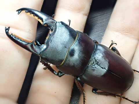 086B795B-6940-4BBA-86C3-1EB945AC2028