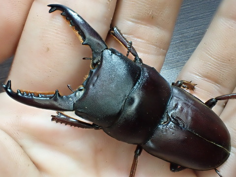 4D2A5B7C-3F3C-42D7-B9DF-752447929286