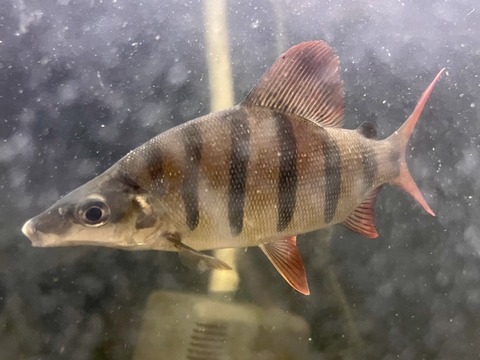 07BCF671-1AB7-4917-A69D-E5F6D653D80A