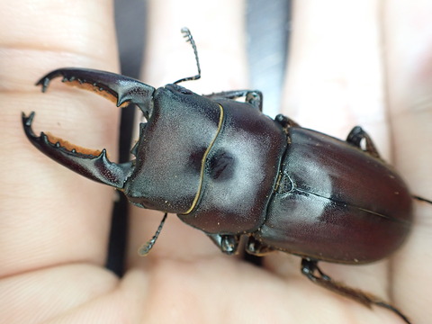 48A73F95-B527-41ED-A93A-B50B504BD076