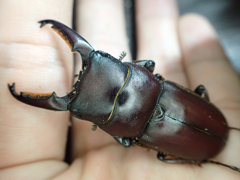 2D0C5CD1-C60A-4EB4-8683-048912B2F9EC