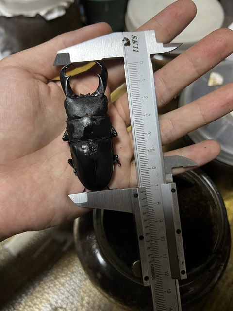 747A639F-CC42-437D-A7A2-A470468DBCFA