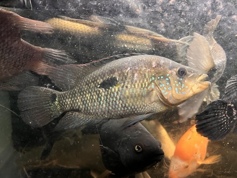 67F6D345-7C18-4368-B851-B4BC551E954D