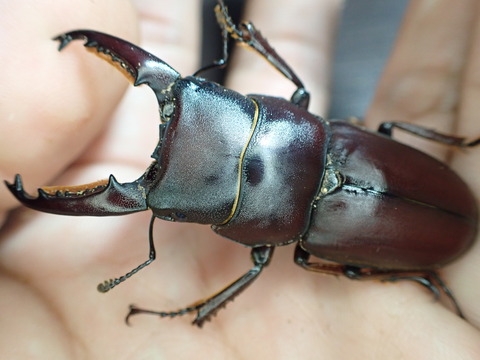 D6BDEC67-5E12-4923-83B7-DC08F0E856BF