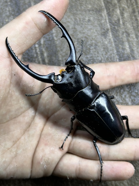 31D6B854-ECAA-44C9-BB57-1024FE275AEE