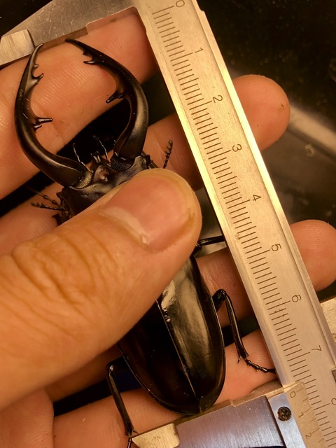 11057287-E16A-447F-89EA-22C59053EE95