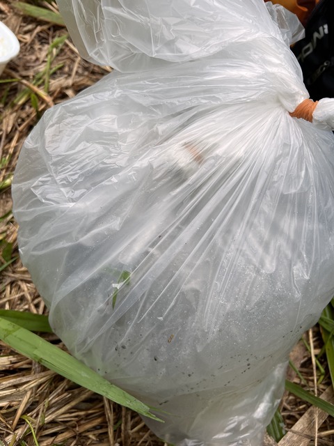 663BE72A-8CE2-44B3-A4D5-B0ED10E5EBAC