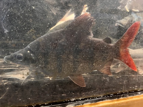 6AF7E3F2-CB1A-4A51-B5AE-CAE30B274DF4