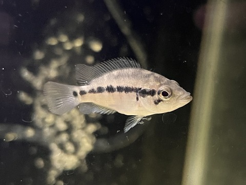 A8E4F87E-DA05-4C41-A900-1DCC74E6A3FD