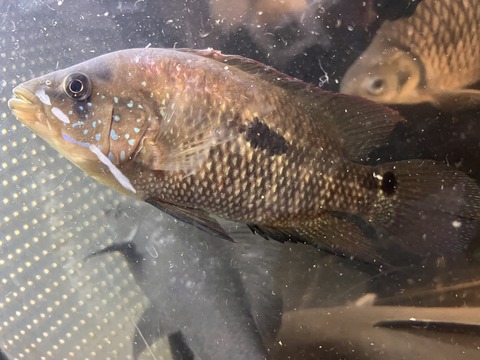 A56F9077-A1BB-4C0E-B58C-1C9DCC4F8518