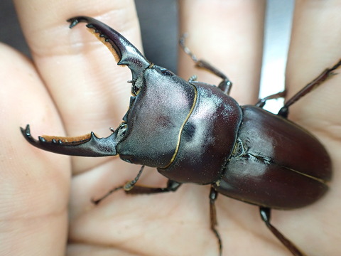 94221196-720C-4703-AC94-C5F94828E256