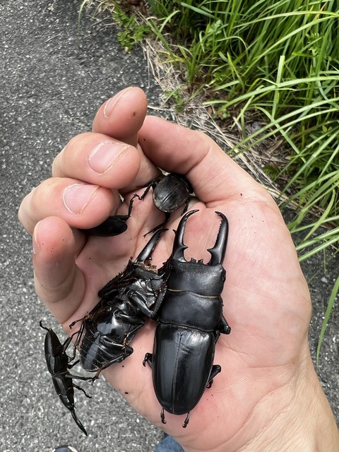 E9970738-3FAD-4AAF-B29B-A38098B63F38