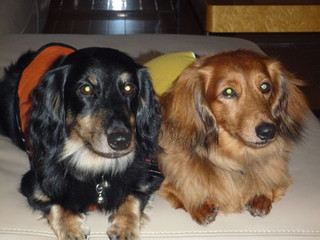 2009アムチャチュ074