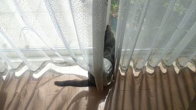 230423_113744_00025743