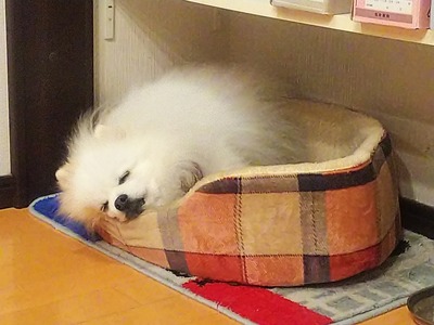 IMG_0001_BURST0010002