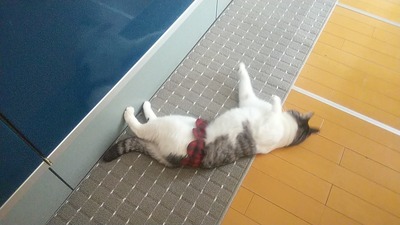 250124_094226_00000469