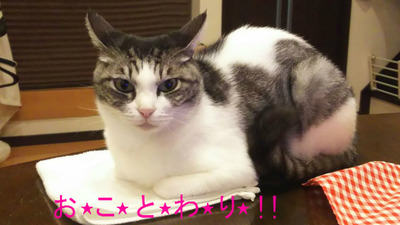 BlogPaint
