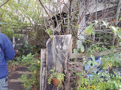 IMG_20260113_125044083