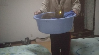 260128_221112_00006811