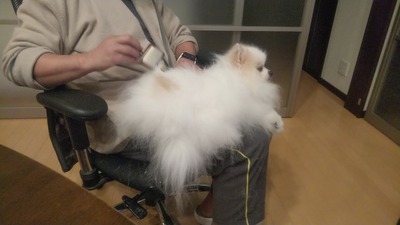 221120_215459_00012808