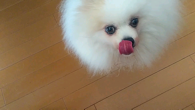 Capture_Trim_20230904_134001_20231227_194254