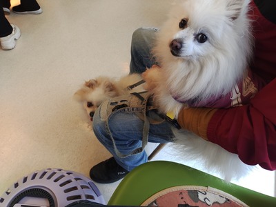 IMG_20240424_175035932