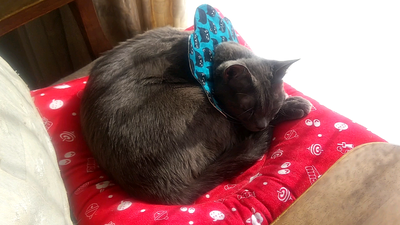 Capture_231116_104154_20231116_104324