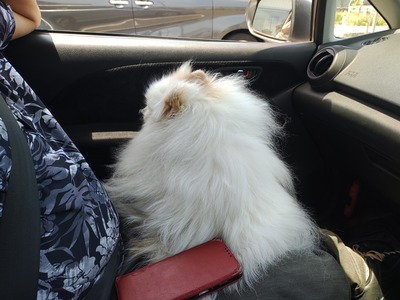 IMG_20250528_114753880