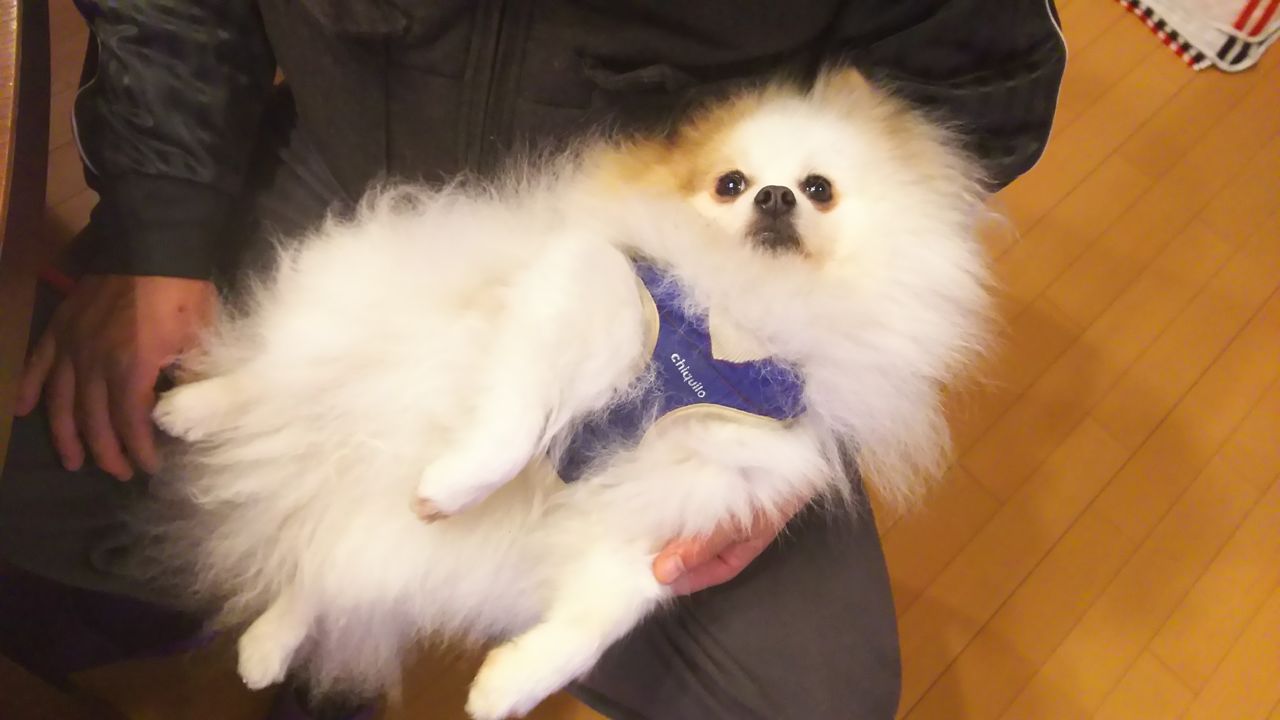 Dori Ichi Bii の家 ひえたはっぽうさい