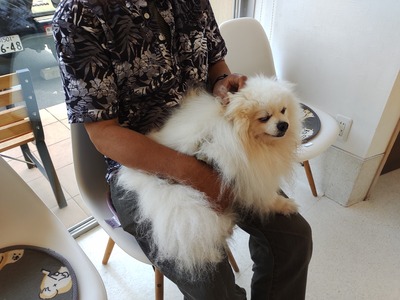 IMG_20250528_112149894