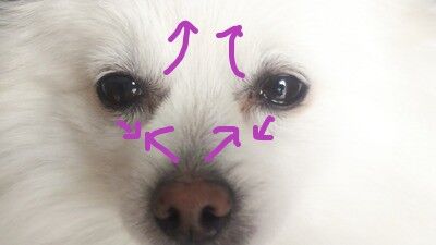 c11e63b6-s
