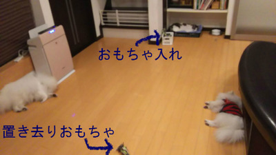 BlogPaint