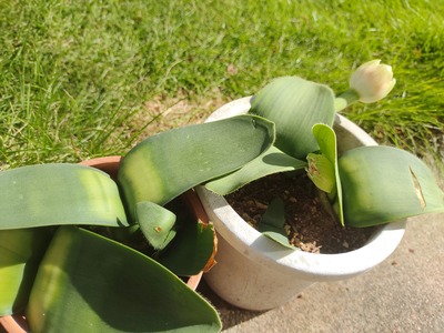 IMG_20251028_104440777