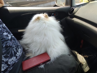 IMG_20250528_114756288