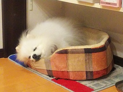 IMG_0002_BURST0010002