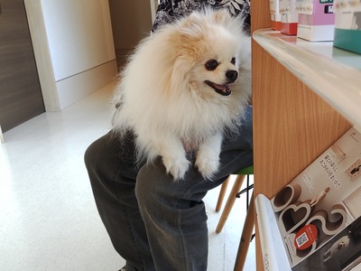 IMG_20250528_113639702