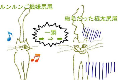 BlogPaint