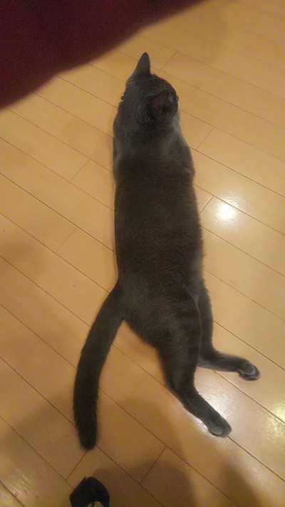 230717_212141_00003186