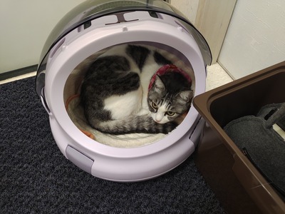 IMG_20240424_180146658