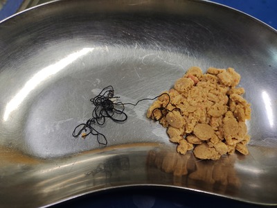 IMG_20231030_100223427