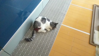 250124_094226_00010125