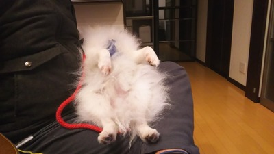 Dori Ichi Bii の家 ひえたはっぽうさい