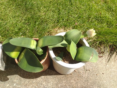 IMG_20251028_104429511